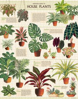 "House Plants - Zimmerpflanzen" Cavallini Vintage Puzzle, 1000 Teile